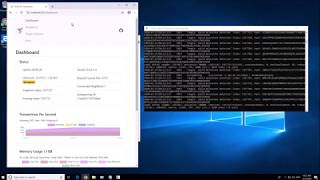 How to run an IOTA full node in just 5 minutes using Hornet screenshot 5