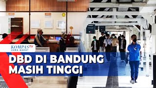 11 Orang Meninggal Akibat DBD di Bandung