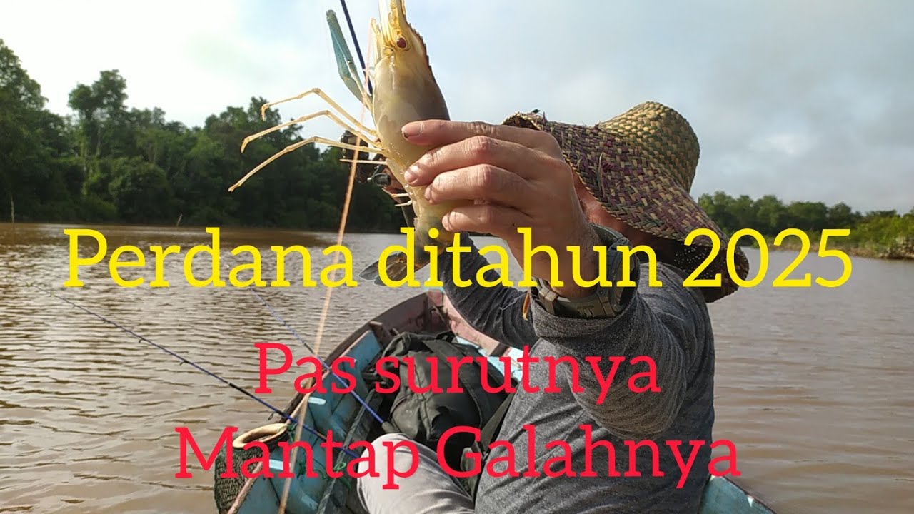 Mancing udang di sungai kahayan kota Palangka Raya Kalimantan Tengah tahun 2025, joss abiss.