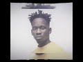 Mr Eazi ft Yung Meagan  - Tony Montana Remix