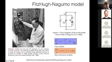 Mechanistic mathematical modelling and analysis - Session 2