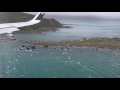 Freaky landing in Wellington - YouTube