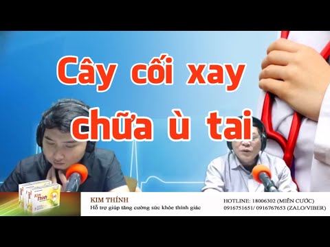 Video: Một cuộc cải cách giáo dục mới nhằm phát triển trí tuệ và trí thông minh của trẻ