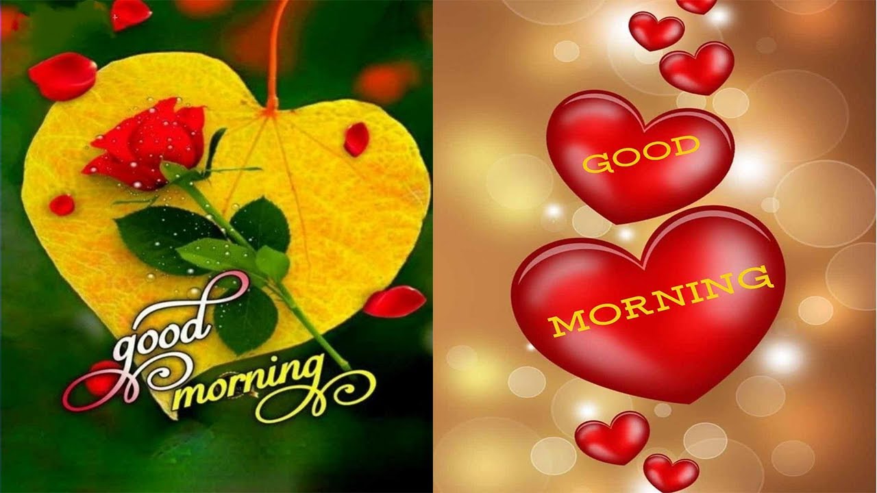 Good Morning Love Status | Good Morning Song - YouTube