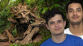 10 ARVORES QUE VOCE NAO VAI ACREDITAR QUE EXISTEM