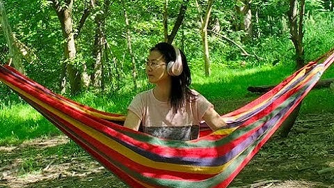 hammock - enjoy the summer - relax