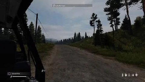 Rally in dayz?