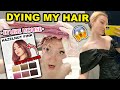DYING MY HAIR PINK HAZELNUT & THRIFT SHOPPING FOR HOLIDAY OUTFITS!!! ETUDE HOUSE HAIR MAKEOVER 2021