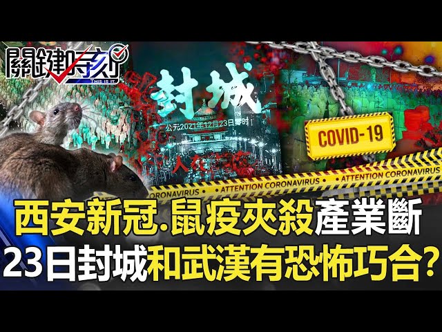 西安「新冠、鼠疫夾殺」一夜靜止產業斷 23日封城和武漢有恐怖巧合！？【關鍵時刻】20211223-1 劉寶傑 黃世聰 吳子嘉 林廷輝 姚惠珍