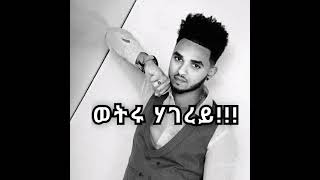 Abrham Alemabi ወትሩ ሃገረይ Eritrean Musicsoliegaentertainmente851