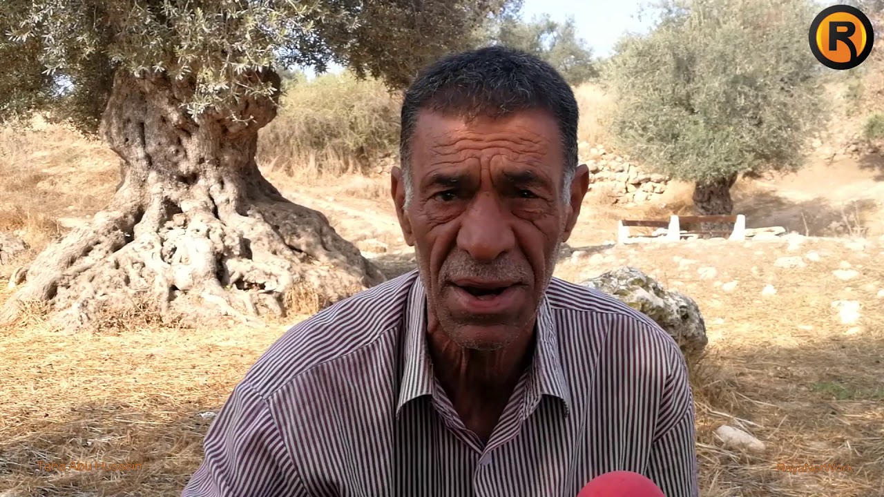 إدريس.. توأم الزيتون في تل الرميدة!