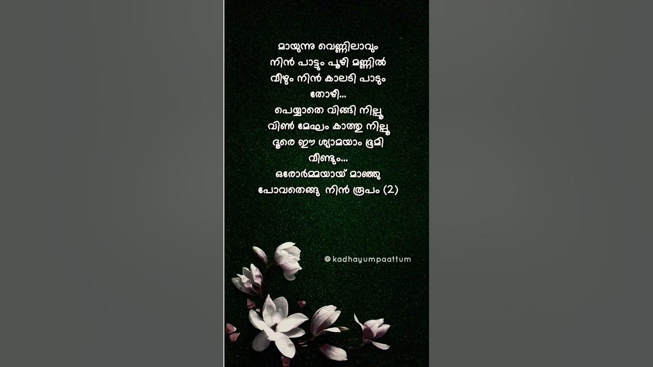 Yathrayay sooryankuram ❤️ #malayalam #lyrics #shorts #shorst