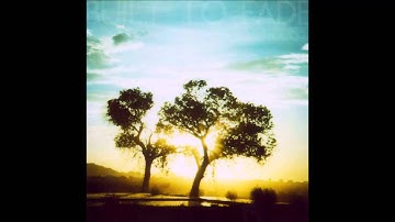 Built To Fade - The Actress