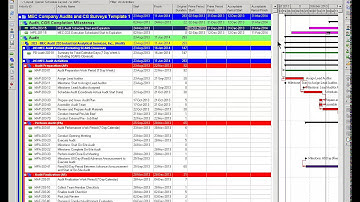 Primavera P6 - Gantt Chart Bars from User Defined Fields; Bar Color Hierarchy