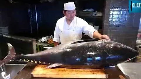 Top 14 thịt cá ngừ đại dương
