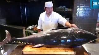 Thực Phẩm Nhật Bản - Cách người nhật xẻ thịt con cá ngừ Đại Dương làm món sashimi