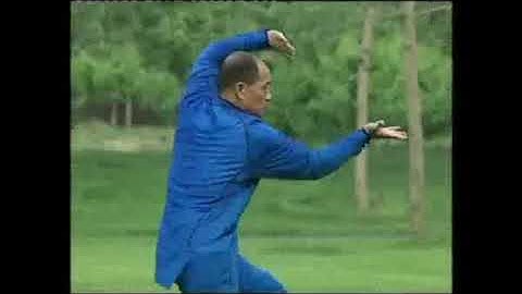 Xingyi Quan   Example Routine   CWA Six Duan Taolu