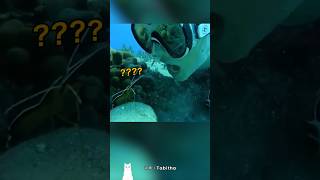 歯医者に一生タダで通う方法