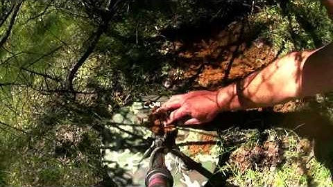 Coiltek mono elite 14"