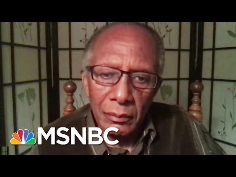 Harvard Prof. Says ‘Bright Side’ And ‘Dark Side’ Of America Are On Display | The Last Word | MSNBC