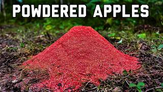We Left a PILE of Powdered Apples in the Woods... Here's what Happened!