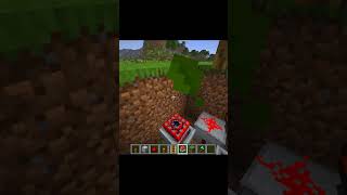 Don't Break This Tree 😳🌳💀🔥