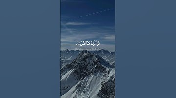 ماهر المعيقلي | #سورة_الحشر #قرآن #القرآن_الكريم #قران_كريم #quran