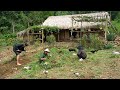 Full100 days gardening animal care harvesting cooking  daily farm life offgrid cabin