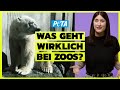 DAS Solltest Du über Zoos Wissen Artenschutz Bildungsarbeit Oder Doch Nur Tier Gefängnisse DAS Solltest Du über Zoos Wissen Artenschutz Bildungsarbeit Oder Doch Nur Tier Gefängnisse