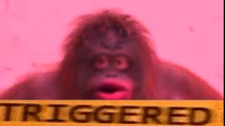 Monke Pog
