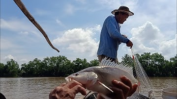 Trúng mẻ lưới cá Úc trên sông Hậu.Chú hát 2 câu vọng cổ hay như ca sĩ|CSTQST