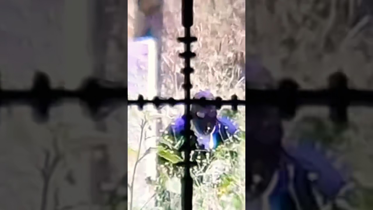 Scope view at SC Village on 4th of July 2023 