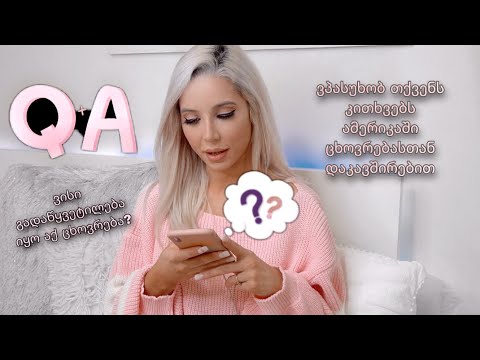 ვპასუხობ თქვენს კითხვებს ამერიკაში ცხოვრებასთან დაკავშირებით | Q \u0026 A | ellene pei