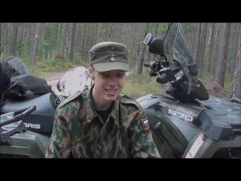 Рыночек все порешает?