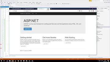 Curso básico programación C# - 60. API REST.MVC .Consumiendo método Delete-   Visual Studio 2017