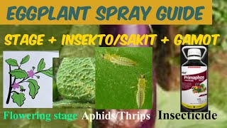 Eggplant Spray Guide/Insect Pests and Diseases and Their Control Measure/Agri Crops Doc screenshot 4