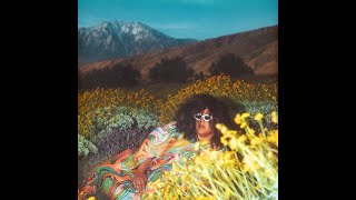 Brittany Howard - I Don't (VOCALS)