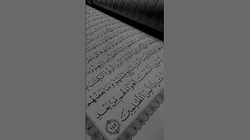 #تلاوة_خاشعة #القرآن_الكريم #القران_الكريم_راحه_نفسية #ياسر_الدوسري #راحة_نفسية #صلوا_على_النبي