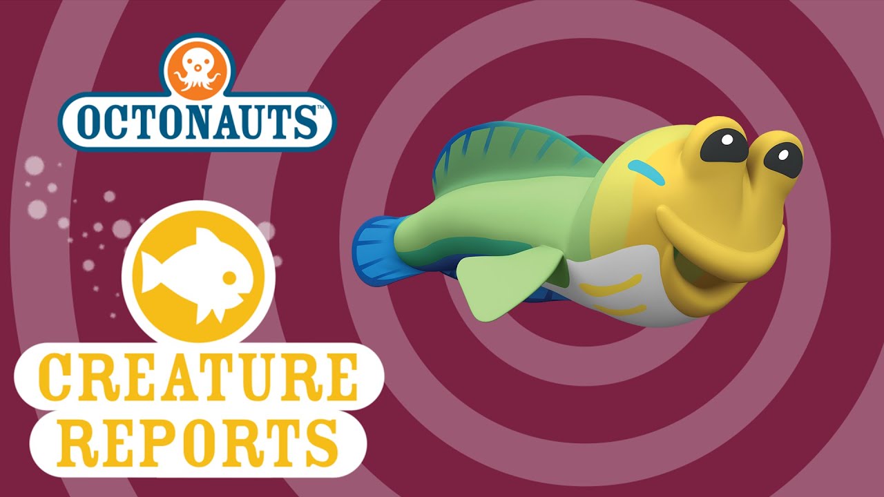 Octonauts Creature Reports Jawfish YouTube