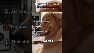 Ranking Funniest Dog Moments💀