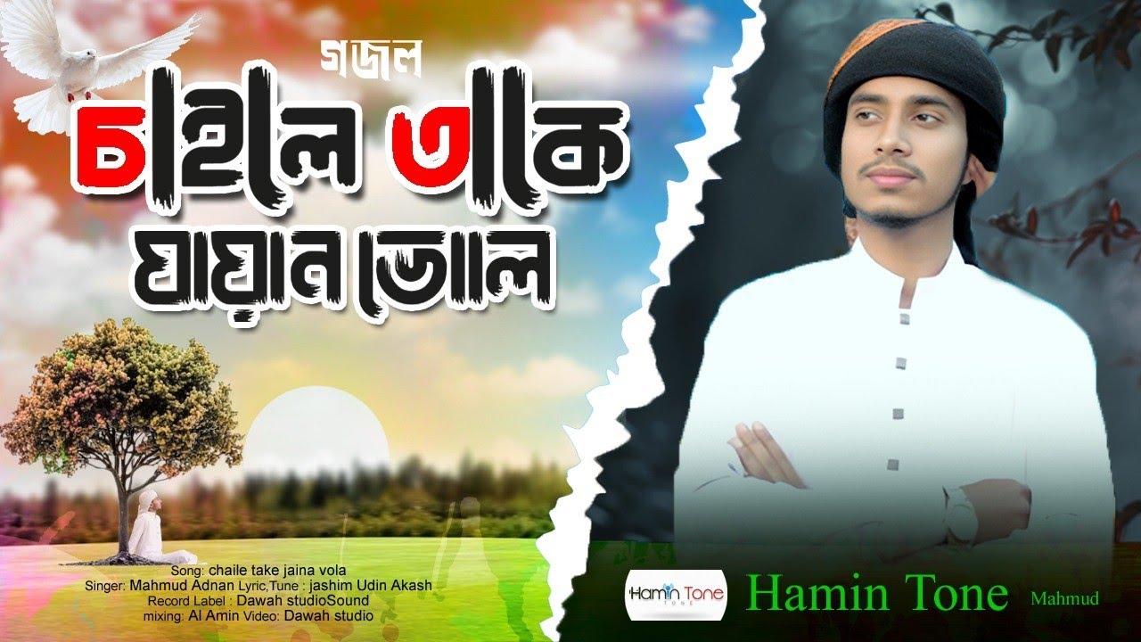 চাইলে তাকে যায়না ভোলা | chaile Take jaina Vola 