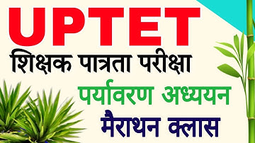 UPTET 2023  || UPTET 2023 EVS  मैराथन क्लास || EVS  For UPTET | UPTET EVS | EVS Class By Rohit Sir