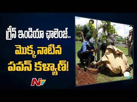 Pawan Kalyan Plant Sapling under Green India Challenge | Green India Challenge at JHIC | Ntv