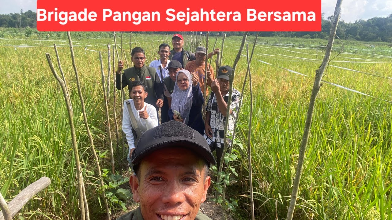 BRIGADE PANGAN SEJAHTERA BERSAMA KEC MUARA BULIAN KAB BATANG HARI  JAMBI MENUJU SWASEMBADA PANGAN 