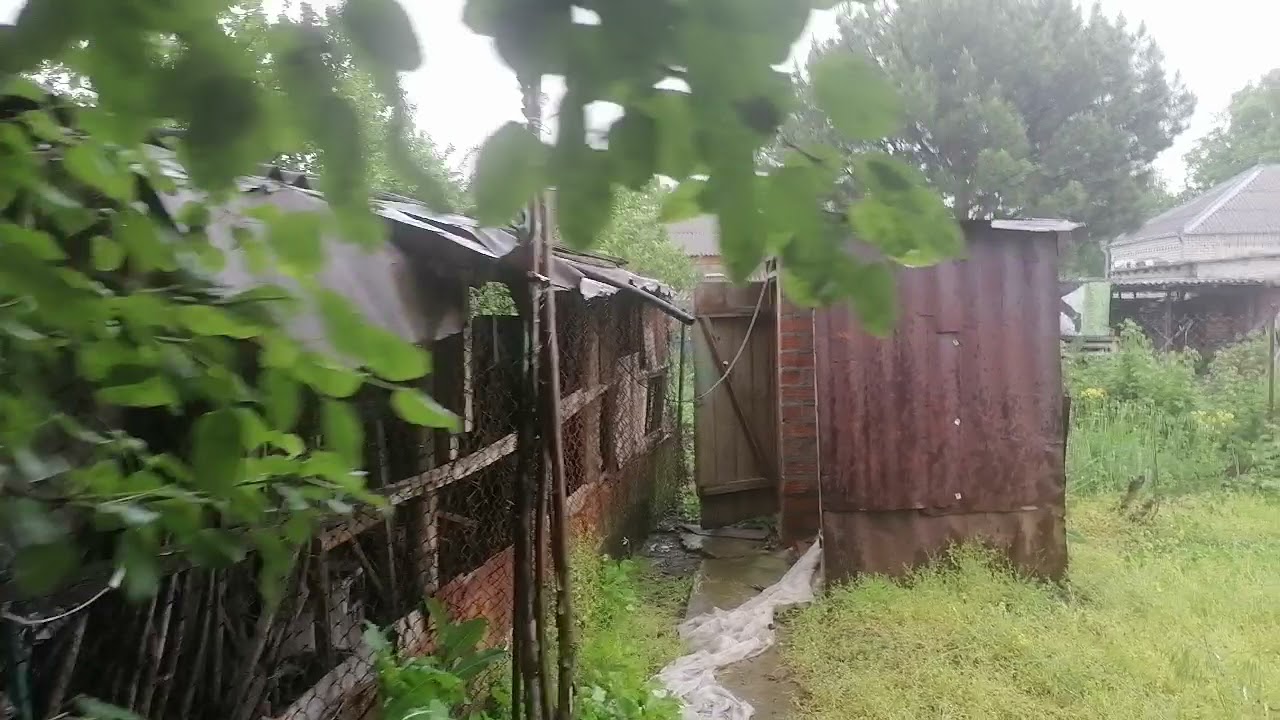 Дом в станице ютуб новое видео последнее. Дом в станице ютуб новое видео последнее