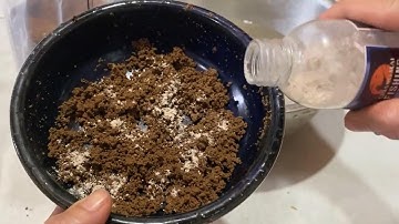 Cách dùng tơ nhện | P1 Mồi vê , dễ nhất cho người mới