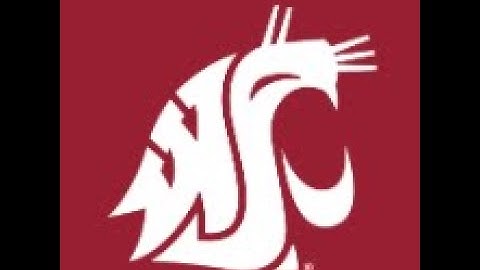 Project 5 Activity 2 Premiere Pro Video Basics