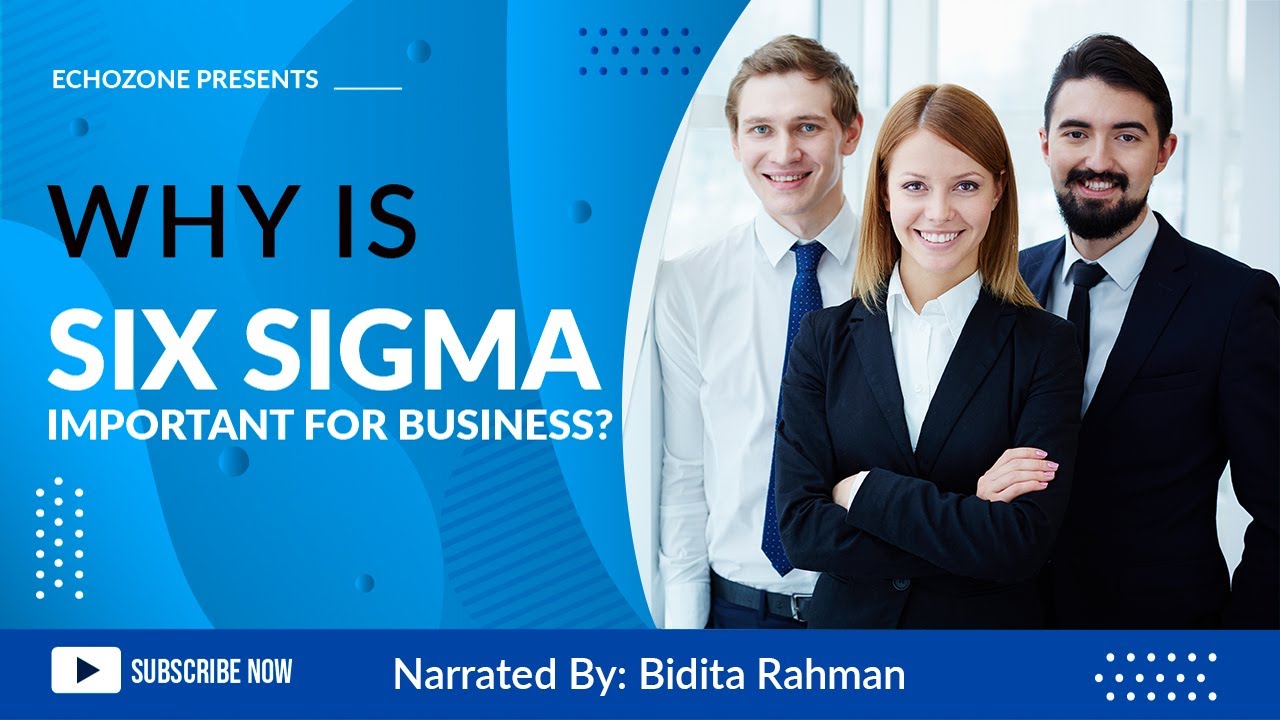 Why is Six Sigma important for business?