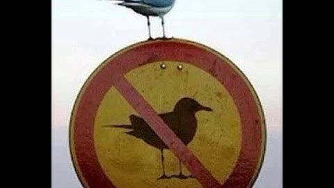 We R Law - Friday 14 November 2025