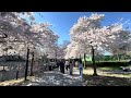 Spring is here!